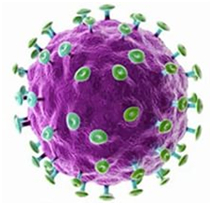 ¿Qué es la infección por papilomavirus humano